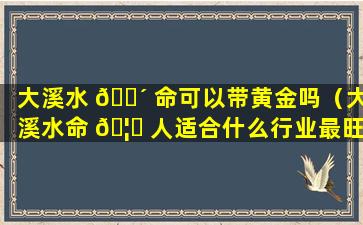 大溪水 🐴 命可以带黄金吗（大溪水命 🦍 人适合什么行业最旺财）